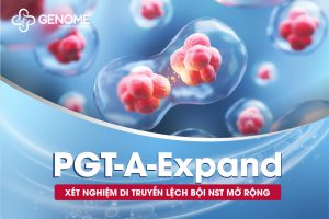 PGT-A-Expand: Xét nghiệm di truyền lệch bội NST mở rộng