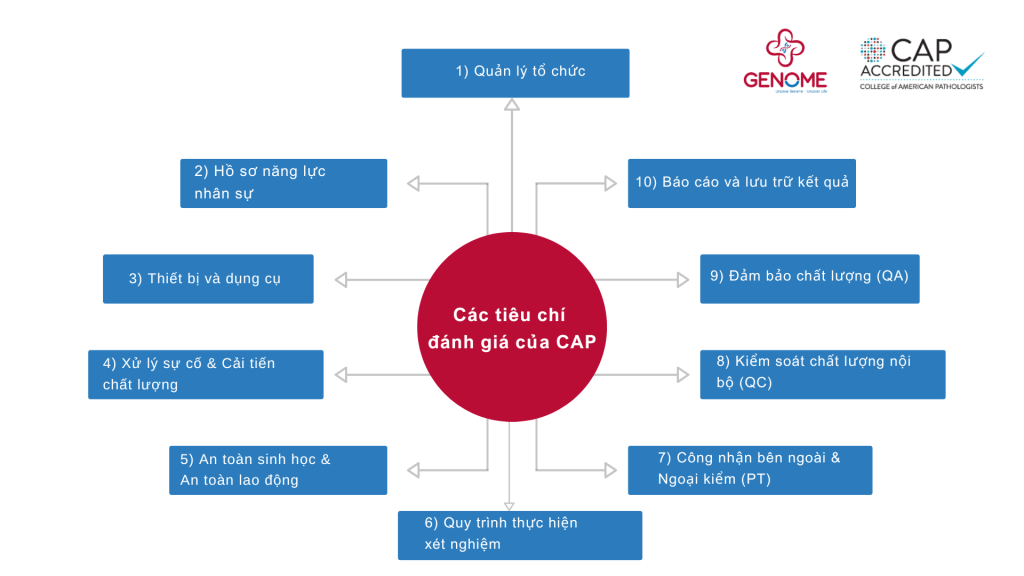 Các tiêu chí đánh giá CAP