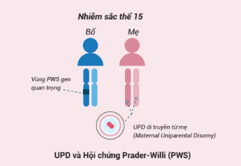 Tình trạng bất thường NST 