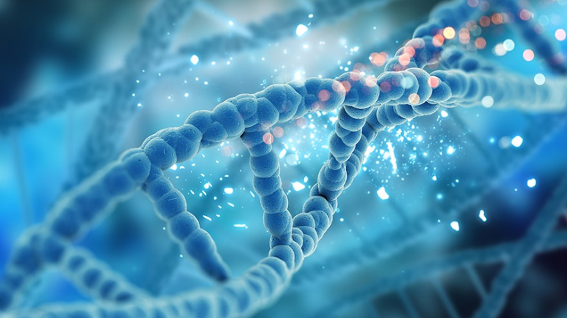 A Strategy Potentially Suitable for Combined Preimplantation Genetic Testing of Aneuploidy and Monogenic Disease That Permits Direct Detection of Pathogenic Variants Including Repeat Expansions and Gene Deletions