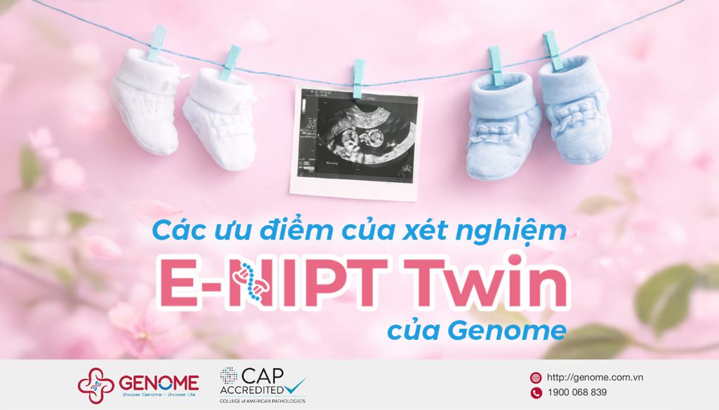 E-NIPT Twin – Sàng lọc trước sinh không xâm lấn chuyên sâu dành cho thai đôi