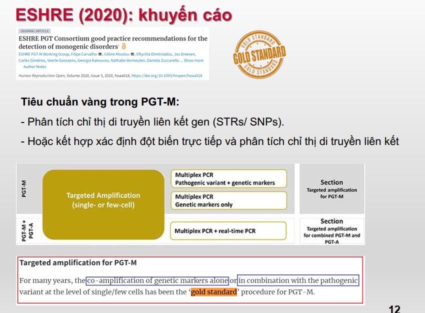 Xét nghiệm di truyền trước làm tổ bệnh đơn gen (PGT-M): xác định trực tiếp đột biến và phân tích di truyền liên kết gen