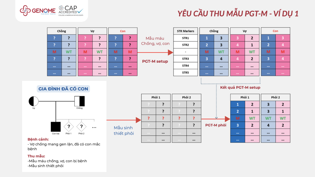 Ví dụ về yêu cầu thu mẫu máu PGT-M