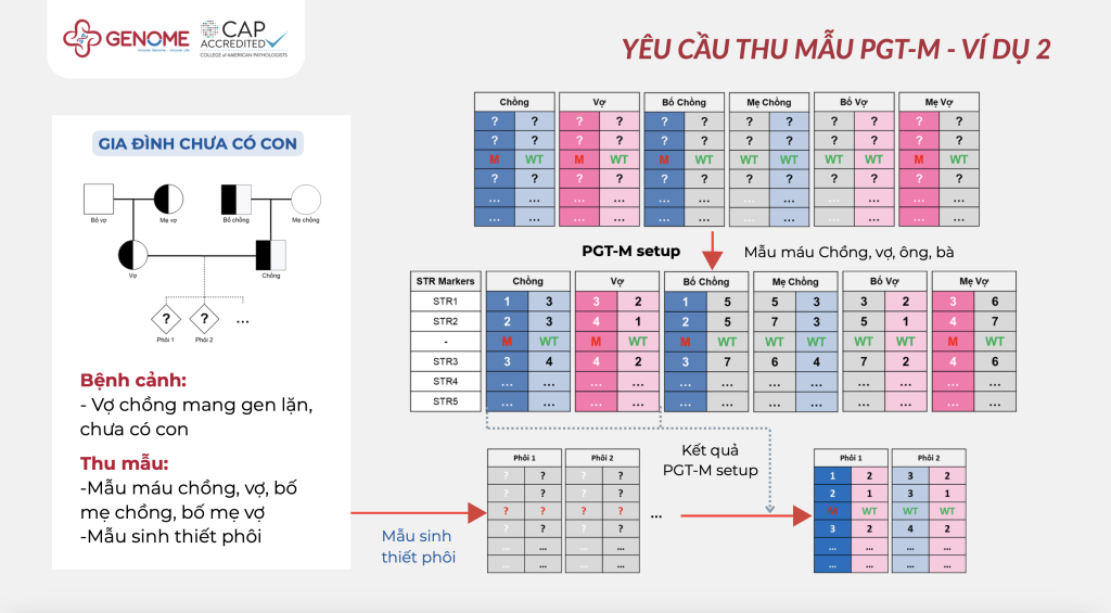 Yêu cầu thu mẫu máu VD 2 