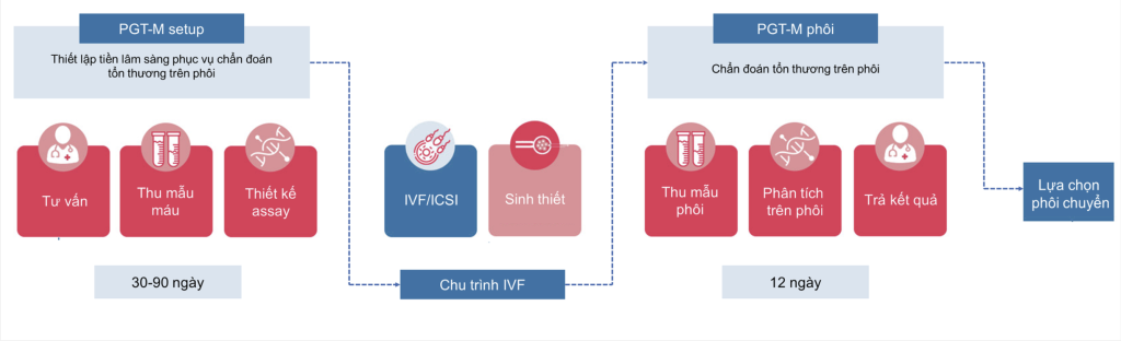 Quy trình thực hiện PGT-M