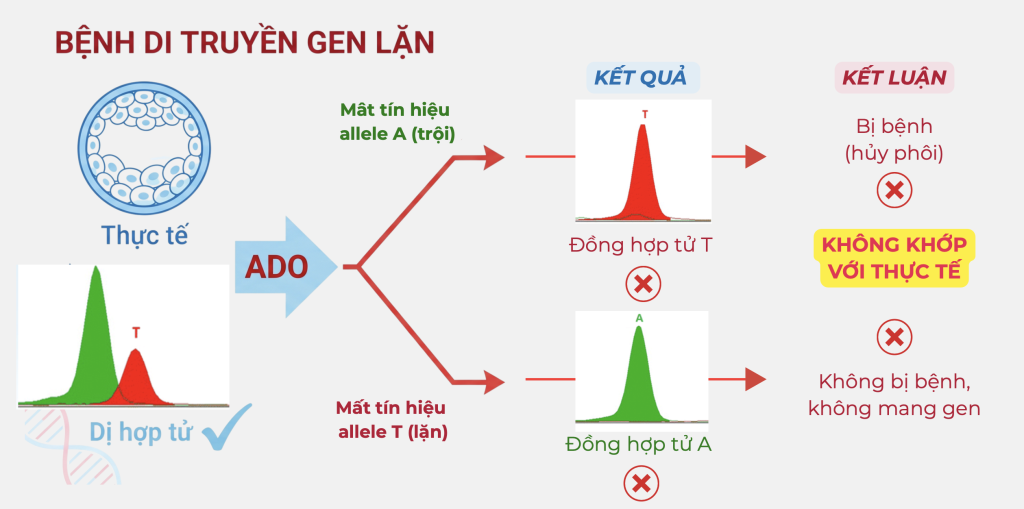 ADO gây sai trong xét nghiệm PGT-M