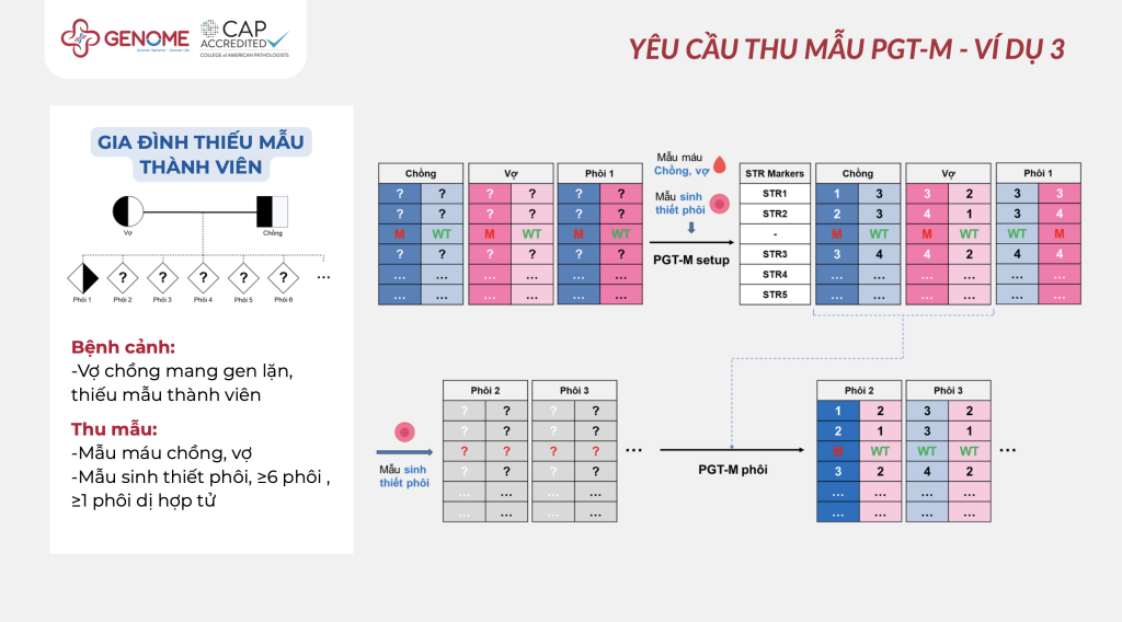 Yêu cầu thu mẫu máu PGT-M - VD3